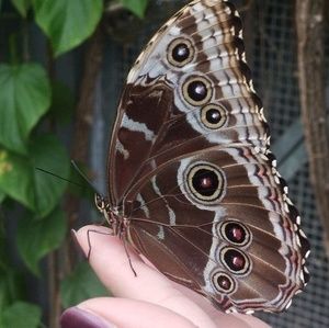 Meet your Posher, Nichole